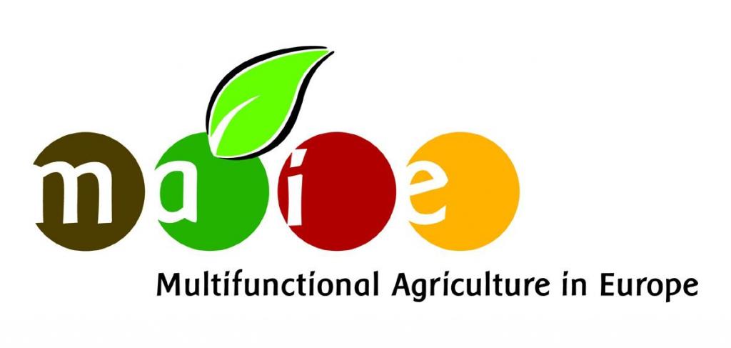 MAIE logo